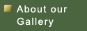 About our Gallery