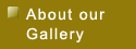 About our Gallery