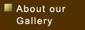 About our Gallery